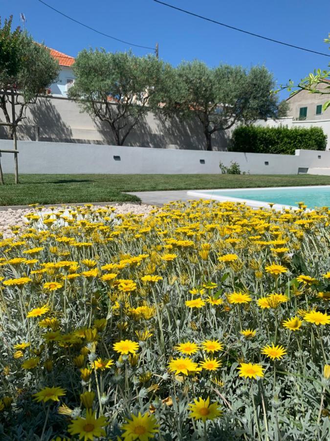 Villa Tony'S House With Private Pool, Garden And Parking Zadar Exterior foto
